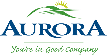 Town of Aurora plumbing services